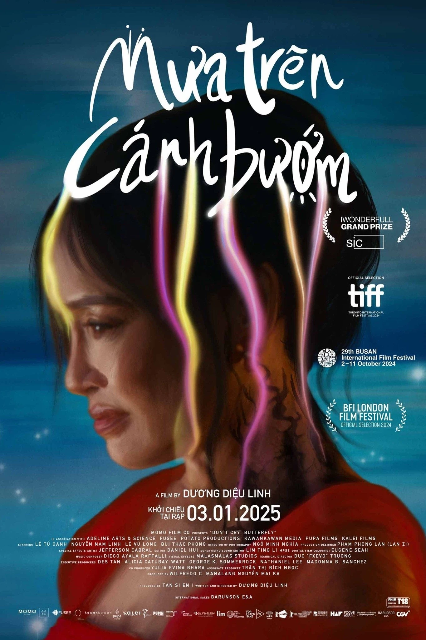 Mưa trên cánh bướm - Don't Cry, Butterfly (2025)